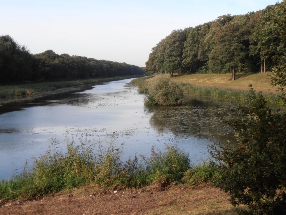 Wandeling Vughtse Hei en Drongelens Kanaal